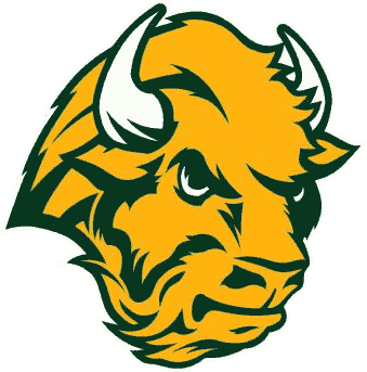 North Dakota State Bison 2005-2011 Alternate Logo iron on transfers for T-shirts